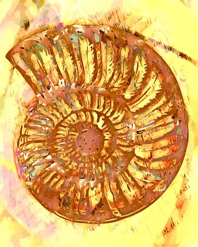 Zonsondergang op het strand