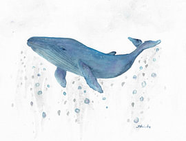 Whale in the ocean by Sandra Steinke