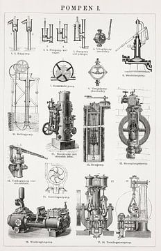Antique engraving pumps I by Studio Wunderkammer