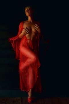 The Lady in Red van Kees de Knegt