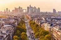Paris avec les gratte-ciel de La Défense par Werner Dieterich Aperçu