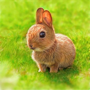 Baby Kaninchen von Silvio Schoisswohl