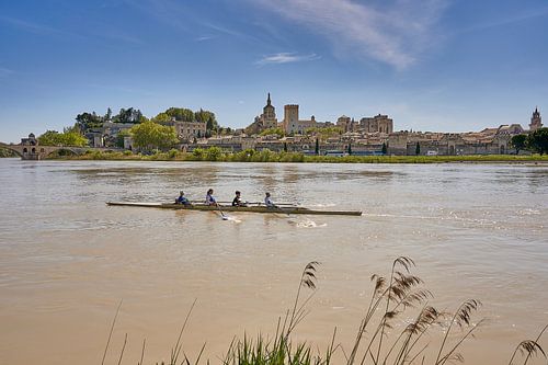 Vue d'Avignon