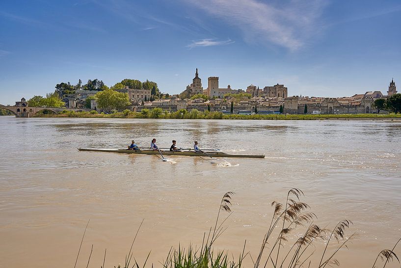 View of Avignon by Harry Schuitemaker