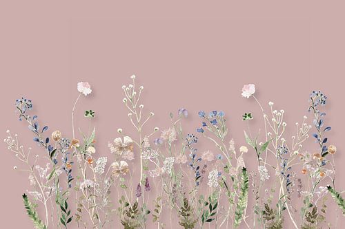 Wilde bloemenweide zomer