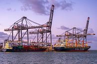 Container terminal 7 by Nuance Beeld thumbnail