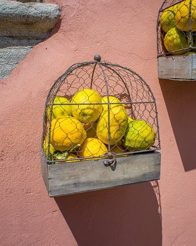 Lac de Garde - Des citrons comme décoration murale sur t.ART