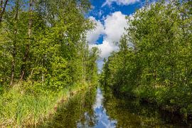 Die Weerribben, National Park Weerribben-Wieden.