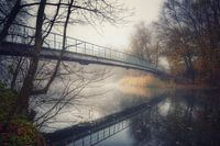 In het herfstpark