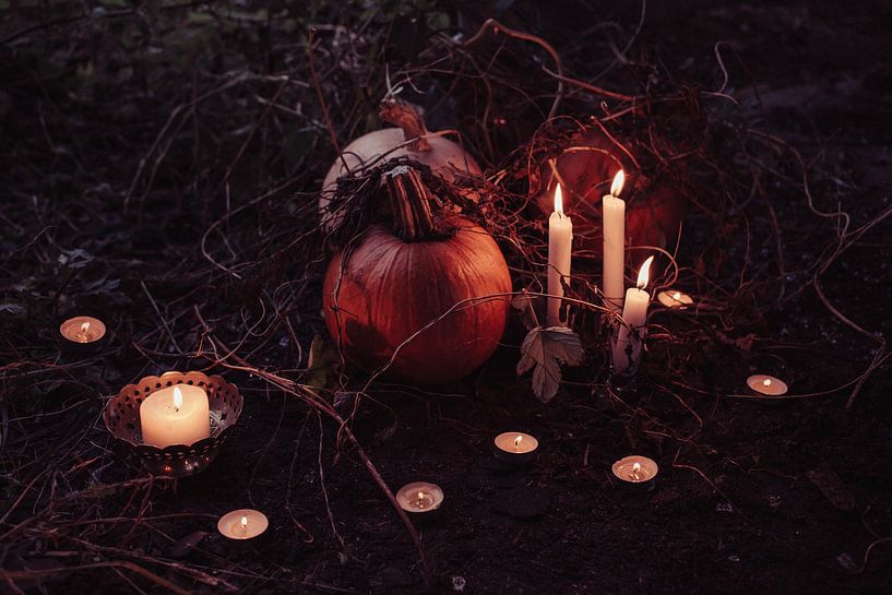 Autumn Vibes by Hello Pompoyo