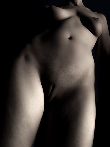 Artistiek Naakt van een vrouw in Kleur