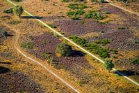 De Hoorneboegse Heide vanuit de lucht [03]