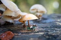 a miniature man from little world sits on a bench under a mushroom in the forest