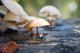 Ein Miniaturmann aus der kleinen Welt sitzt auf einer Bank unter einem Pilz im Wald