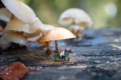 een miniatuur mannetje van little world zit op een bankje onder een paddenstoel in het bosiant Mushrooms van ChrisWillemsen