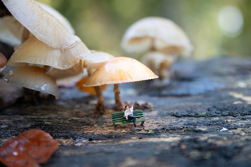 een miniatuur mannetje van little world zit op een bankje onder een paddenstoel in het bosiant Mushrooms van ChrisWillemsen
