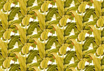 Matinique Banana Leaf Golden