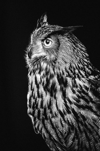Fine-art portret van een Oehoe (uil) in Zwart wit van Lotte van Alderen