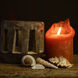 the candle van hanny bosveld