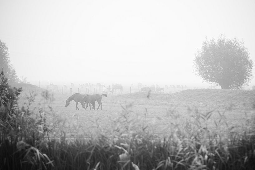 Natuur in de mist van Marco Bakker