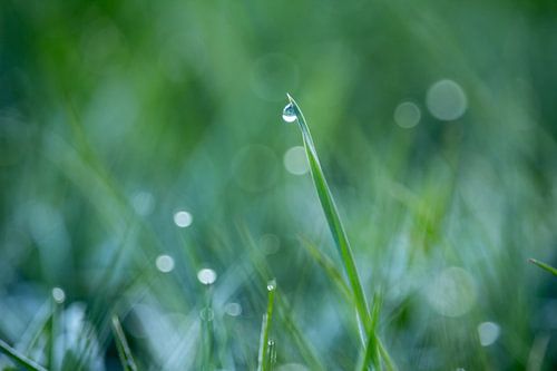 Raindrop