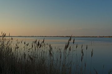 Evening atmosphere in Saintes-Maries-de-la-Mer by Alexander Ließ