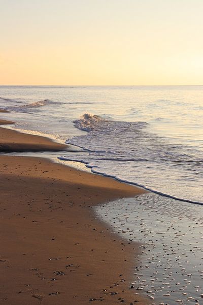 Coastline with waves in the Netherlands by Evi