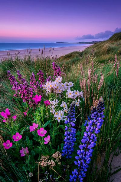 Coastal landscape in bloom at sunset by Poster Art Shop