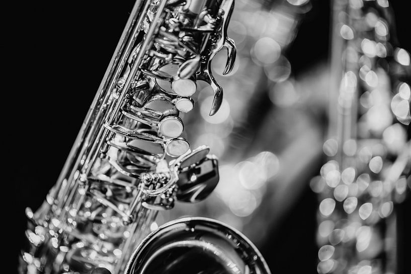 Altsaxophon von Anneke Timmermans