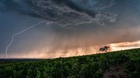 onweer opkomst