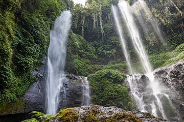Sekumpul waterval, groene kloof in Buleleng, Bali, Indonesië van Fotos by Jan Wehnert