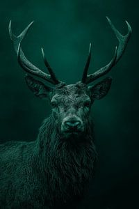 Hirsch in dunkelgrünem Licht Majestätische Erscheinung