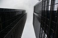 Foggy in New York van Charlotte Pol thumbnail