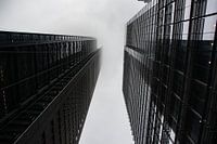 Foggy in New York