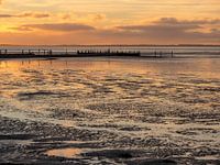 Avondlicht Schiermonnikoog