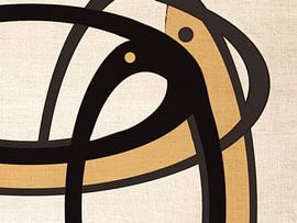 Fish in Fish by Fernando Vieira