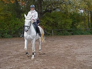 Training mit dem weißen Pferd auf einem Reitplatz im Herbst