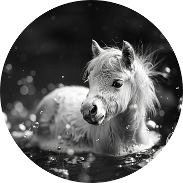 Speelse pony in bad - Een charmante badkamerfoto voor je toilet van Felix Brönnimann