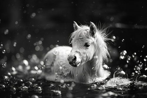 Speelse pony in bad - Een charmante badkamerfoto voor je toilet