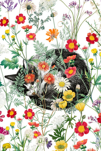 Hidden in the Meadow sur Marja van den Hurk