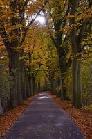 November atmosphere