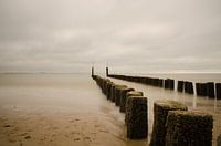 Zeeuwse kust