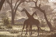 Giraffes in Tanzania von Jovas Fotografie Miniaturansicht