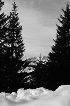 Zwart wit berguitzicht tussen dennenbomen van Fotograaf Elise
