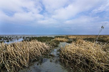 Waddenzee, bij de pier (Holwerd) van Tieme Snijders