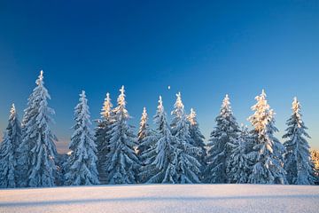 Winterlandschap aan de Belchen, Zwarte Woud van Markus Lange