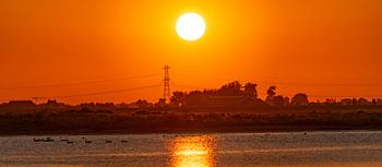 Zonsopkomst op de biesbosch