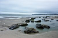Seelandschaft #1