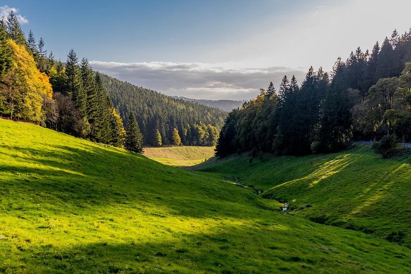 Randonnée automnale à travers la forêt de Thuringe par Oliver Hlavaty