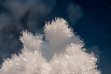 macro van ijskristallen